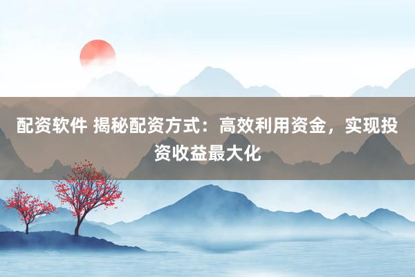 配资软件 揭秘配资方式:高效利用资金,实现投资收益最大化