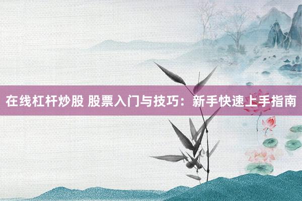 在线杠杆炒股 股票入门与技巧：新手快速上手指南
