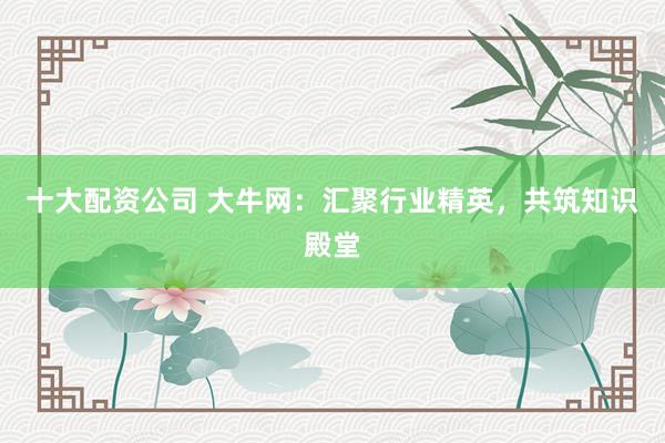 十大配资公司 大牛网：汇聚行业精英，共筑知识殿堂